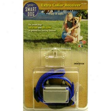 Smart Dog Collar Only (sd-2025)