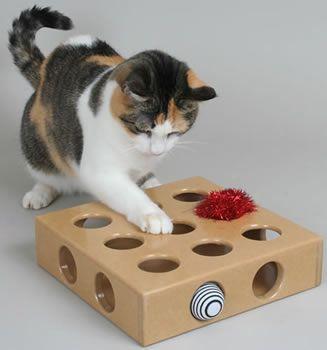 Smartcat Peek-abdd-play Toy Box (ss)