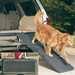 Solvit® Telescoping Pet Ramp