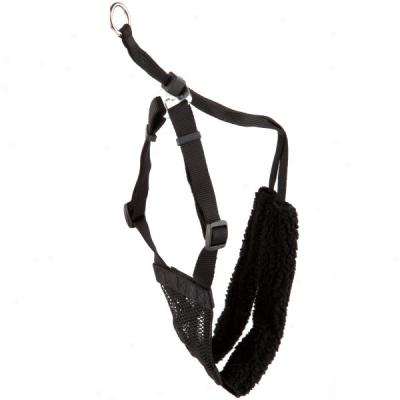 Sporn Non-pullinh Ensnare Control Harness