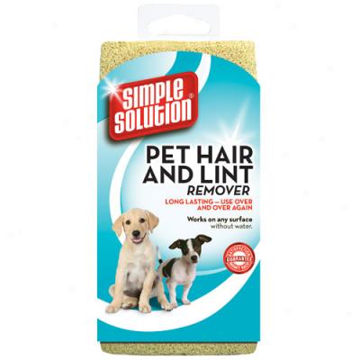 Ss Pet Hair And Lint Remover