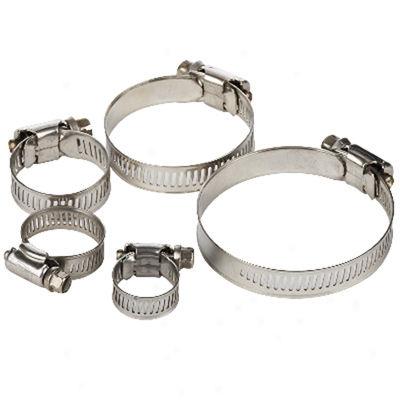 Stainless Hardness Hose Clamps