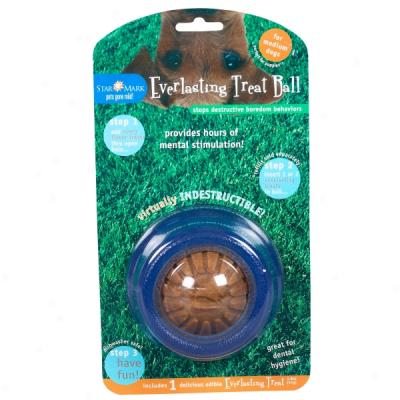 Star Mark Everlasting Treat Ball For Dogs