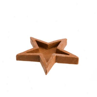 Star-shaped Reptile Feeder