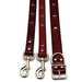 Star Stud Leather Dog Lead