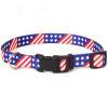 Stars & Stripes Nylon Collars And Leashes By Top Paw