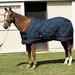 Sfate Line Tack 1200d Medium Stable Blanket