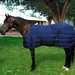 State Line Tack 1200d Stable Blanket