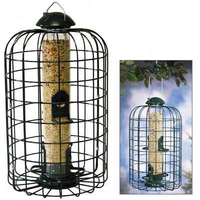 Stokes Squirrel-proof Feeder