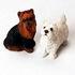 Stone Critter Breed Specific Figurines