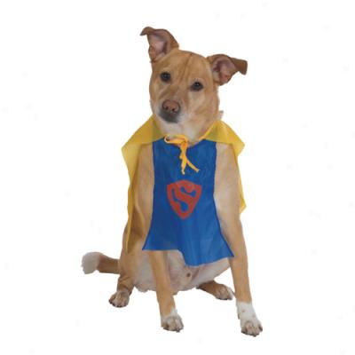 Super Hero Costume (large)