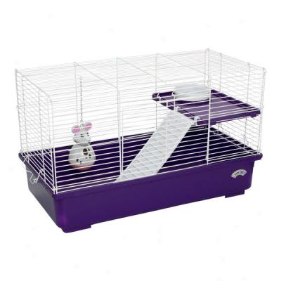 Super Pet Deluxe Rat My First Home