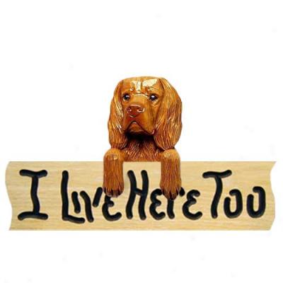 Sussex Spaniel I Live Here Too Oak Finish Sign