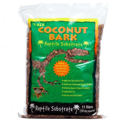 T-rex Coconut Bark
