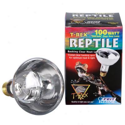 T-rex Dayspot Light Bulb