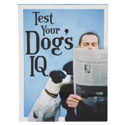 Test Your Dog's Iq