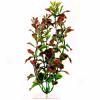 Tetra Plantastics Plus Ultra Lush Red Ludwigia Aquarium Plant