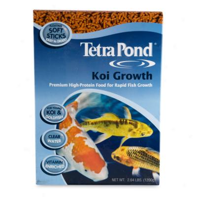Tetra Pond Vegetation Food Toward Koi