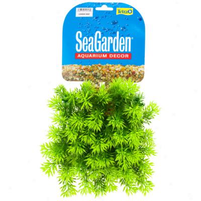 Tetra Ocean Garden Plastic Plant Mats