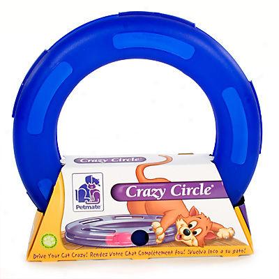 The Cat Track Cat Toy