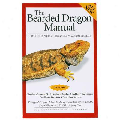 The Gdneral Care & Maintenance Of Bearded Dragons