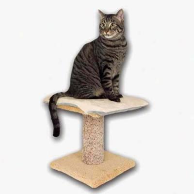 Thermo Kitty Furniture Warmer