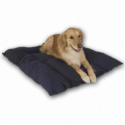 Thermo Pet Heated Bed Large Blue