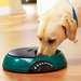 Three-meal Talking Pet Feeder