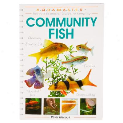 Today's Essential Guide To Keeping Community Fish