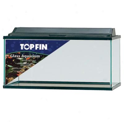 Top Fin? 10 Gzllon Aquarium Hood Combo