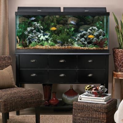 Top Fin? 75 Gallon Aquarium Hood Combo