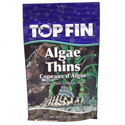 Top Fin? Algae Thins