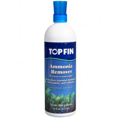 Top Fin? Ammonia Remover