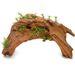 Top Fin Arch Driftwood With Plants