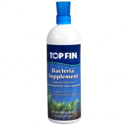 Top Fin? Bacteria Supplement