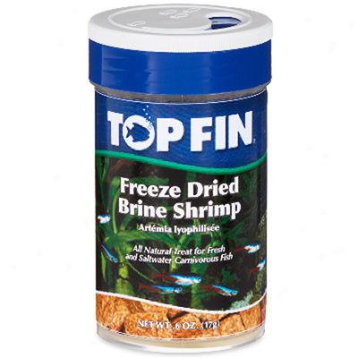 Top Fin? Freeze Dried Brine Shrimp