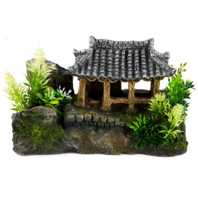 Tlp Fin? Korean Houae With Plants