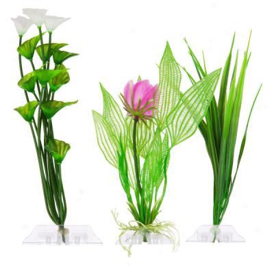 Top Fin? Lilly Plaetic Plant Variety Pack