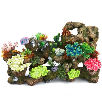 Top Fin? Stone Coral With Coral And Plants