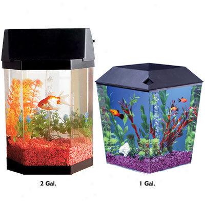 Top Fin® Aqua Scene Desktop Aquariums