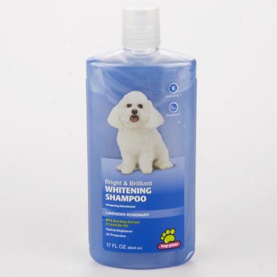 Top Paw Bright & Brilliant Whitening Shampoo