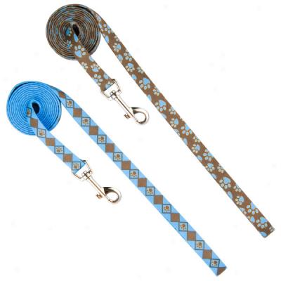 Top Paw? Brown & Blue Paw Print Nylon Leashes