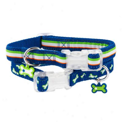 Top Paw? Buster Collection Collars