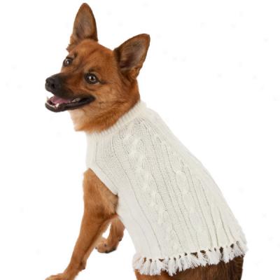 Top Paw? Cable Knit Poncho