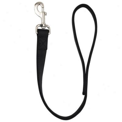 Top Paw? Coastal Double Nylon Handle Dog Lead