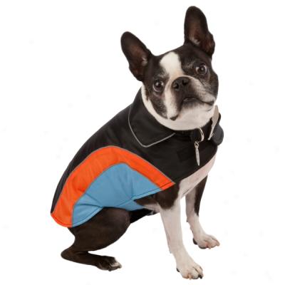 Top Paw? Colorblock Reflective Dog Coat