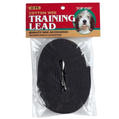 Top Paw? Cotton Web Training Leads