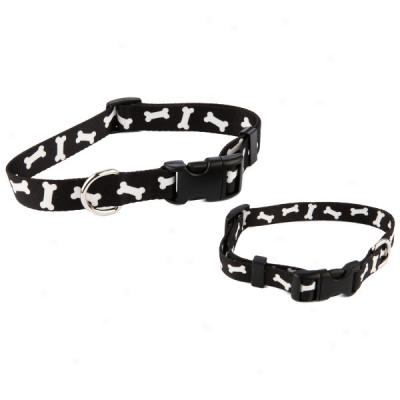 Top Paw? Dog Gone Designs Collars