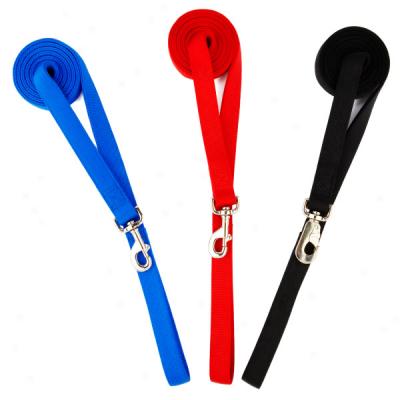 Top Paw? Double Layer Personalized Nylon Leads