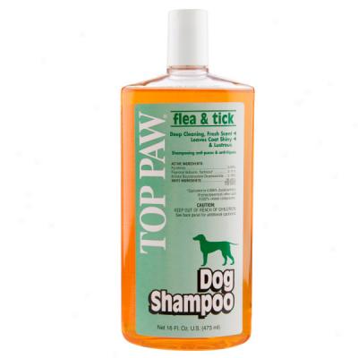Top Paw? Flea And Tick Shampoo For Dogs